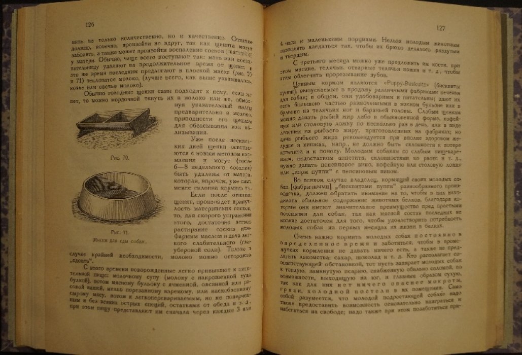 Георг Мюллер. «Болезни собак» и «Здоровая собака»: кинологические труды в 2 книгах