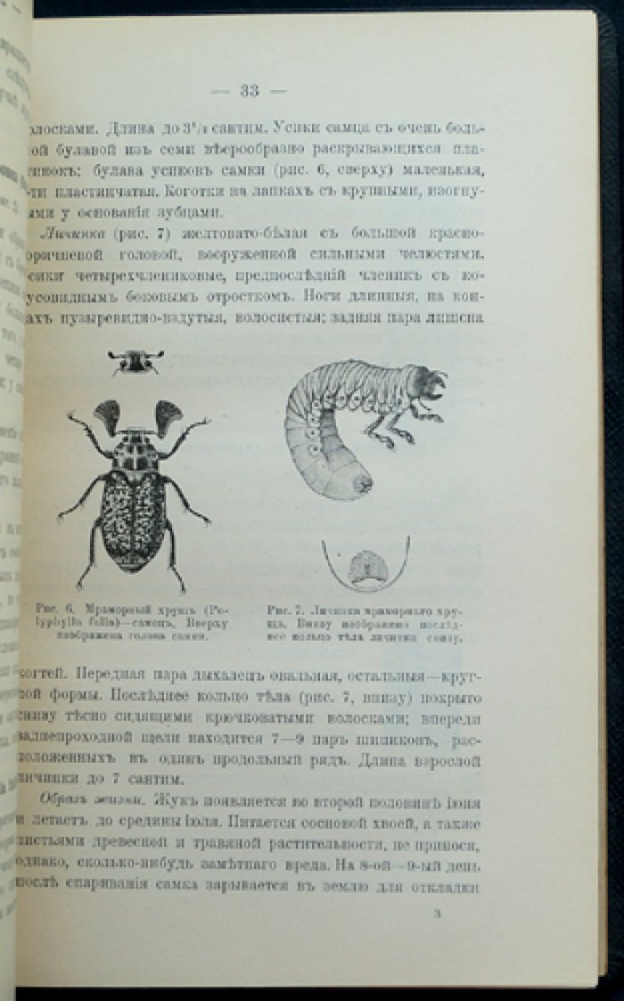 Труды Бюро по энтомологии. Том VI: выпуски № 1–6 (в одном переплёте)