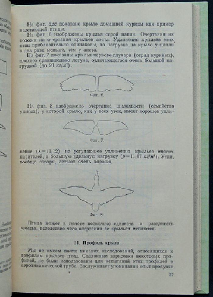 Полет птиц и машины с машущими крыльями. Второе дополненное издание