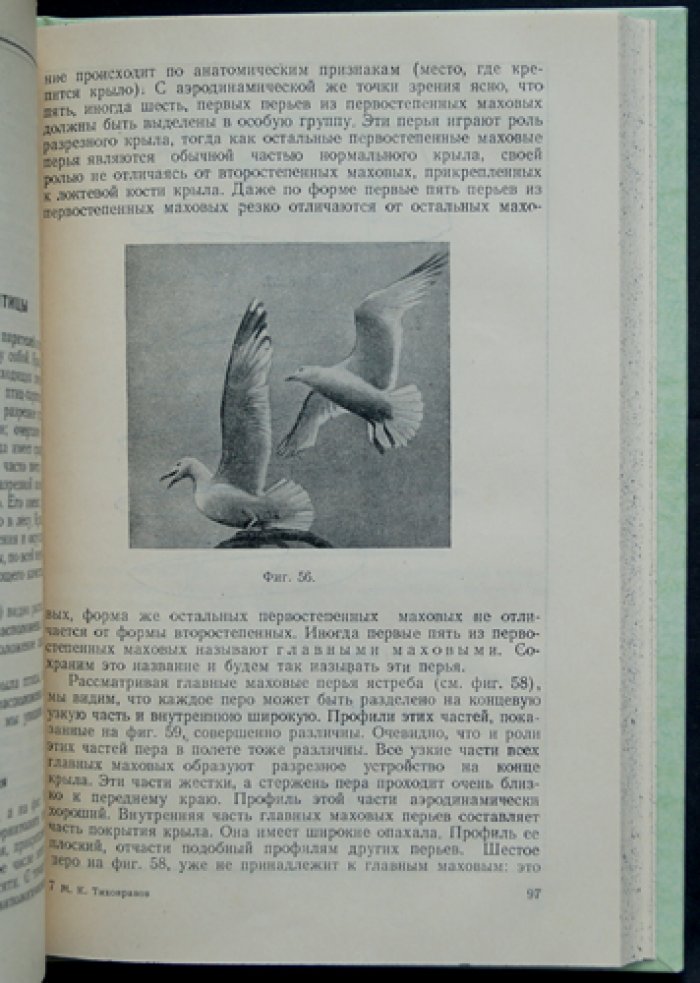 Полет птиц и машины с машущими крыльями. Второе дополненное издание
