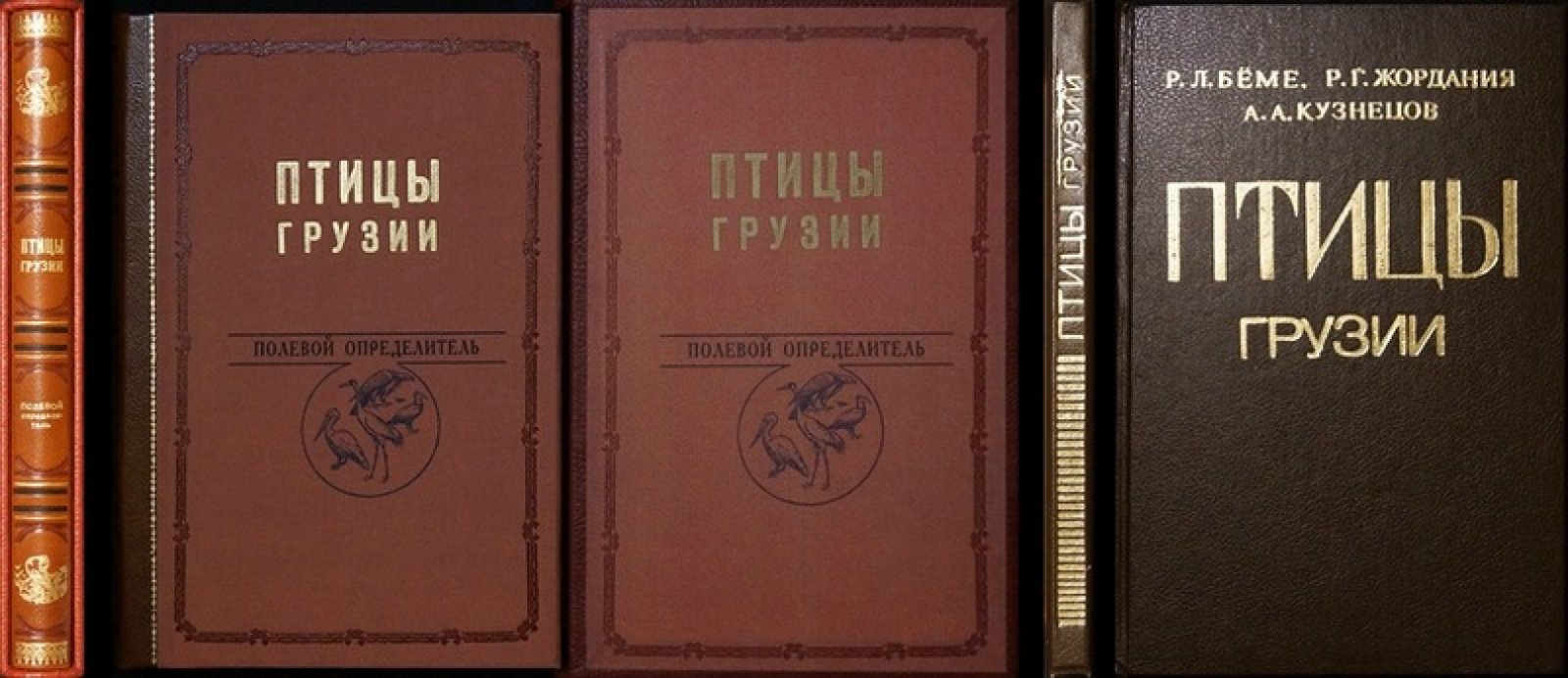 Птицы Грузии: полевой определитель (издание 1987 г., цветные иллюстрации, футляр)