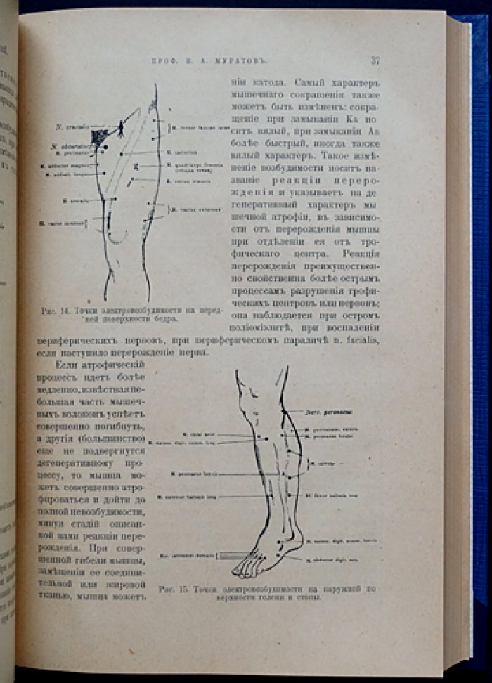 Муратов В. А. Руководство к изучению болезней нервной системы (выпуск I): общая симптоматология, диагностика, периферические нервы и спинной мозг
