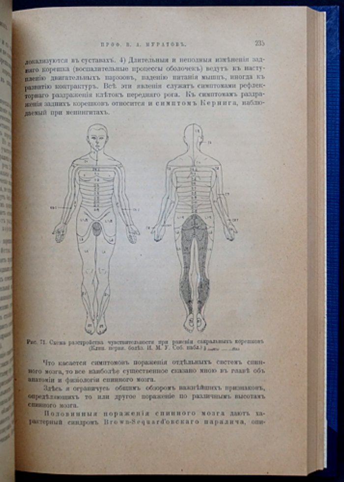 Муратов В. А. Руководство к изучению болезней нервной системы (выпуск I): общая симптоматология, диагностика, периферические нервы и спинной мозг