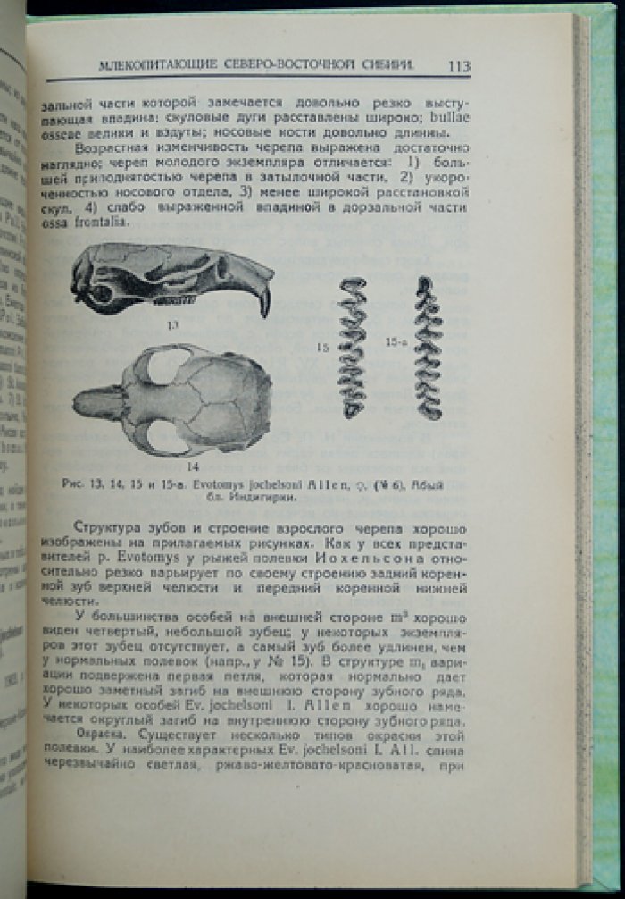 Млекопитающие Северо-Восточной Сибири. Очерки и систематический обзор (с 18 рисунками и 20 таблицами)