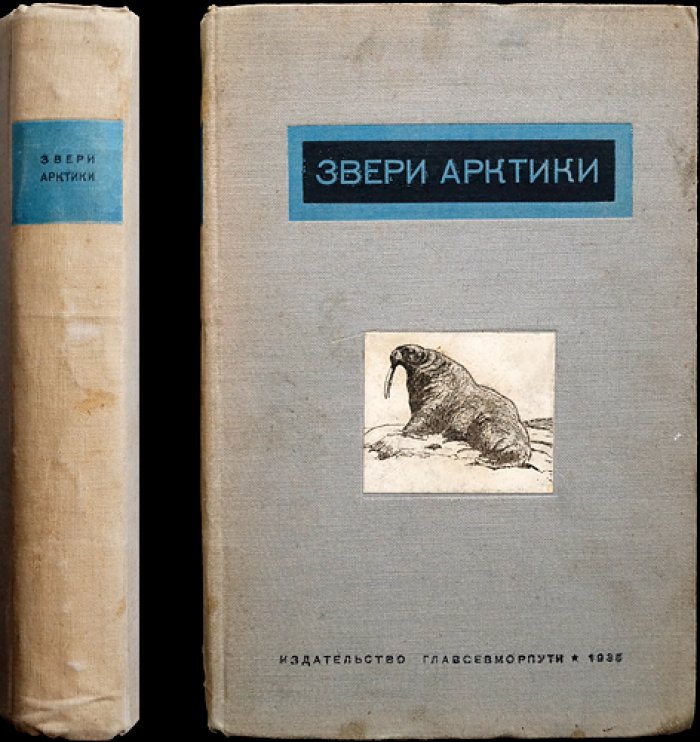 Звери Арктики: копытные, хищные, ластоногие, киты, насекомоядные и рукокрылые