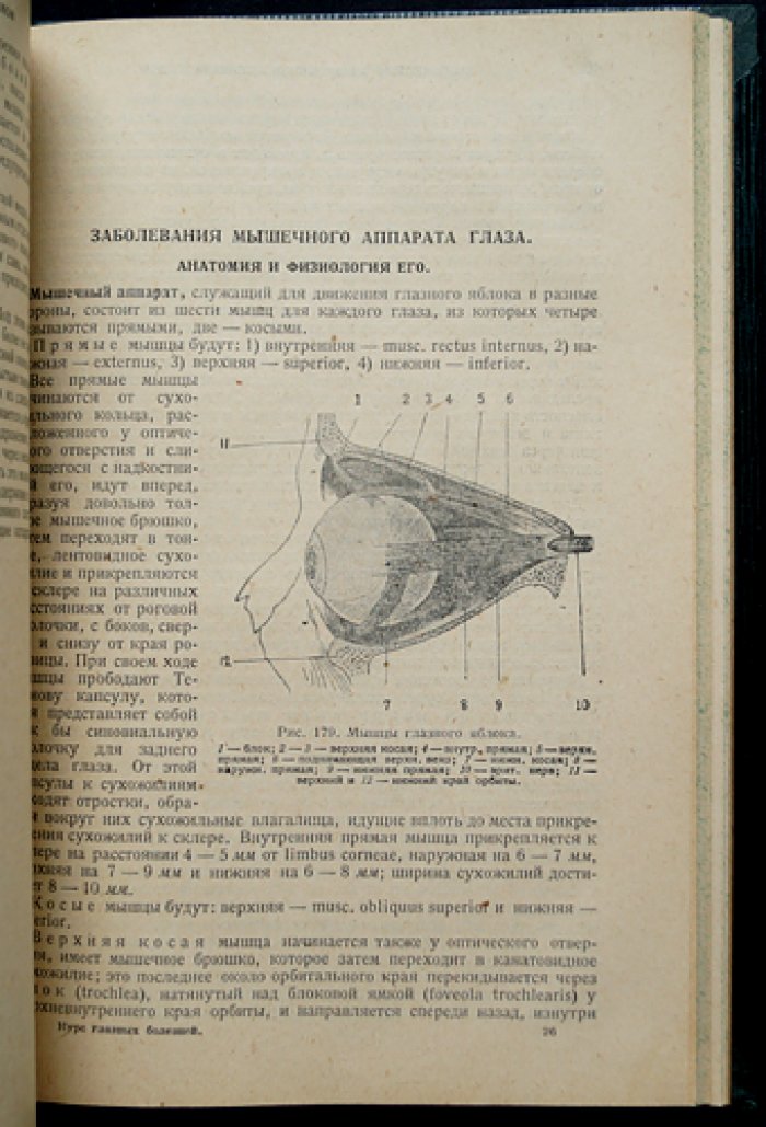 Курс глазных болезней. Третье вновь просмотренное и дополненное издание