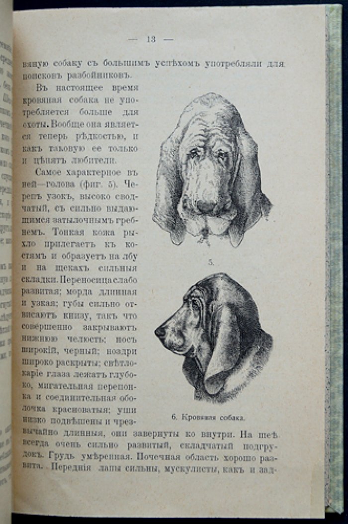Ф. П. Крихлер. Породы собак (охотничьи, сторожевые, защитные и комнатные). Дрессировка и лечебник