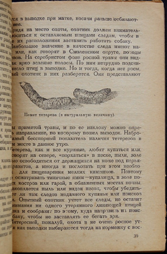 Охота на тетеревов. Практическое руководство для охотников