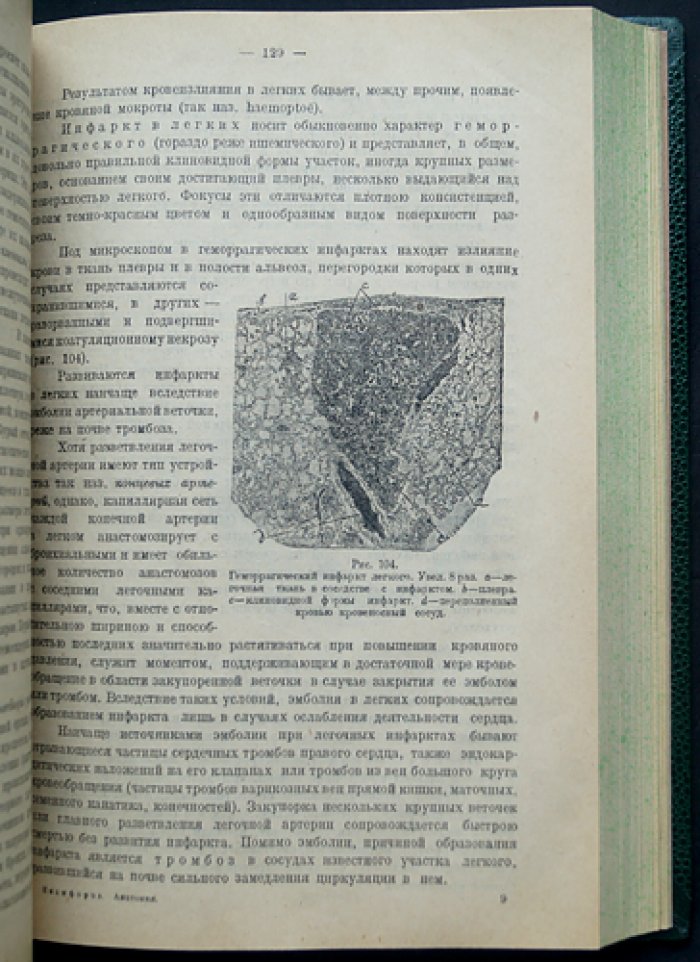 Основы патологической анатомии. В двух частях (общая патологическая анатомия)