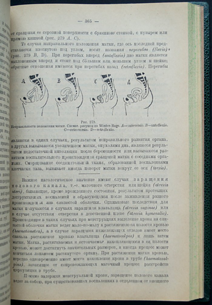 Основы патологической анатомии. В двух частях (общая патологическая анатомия)