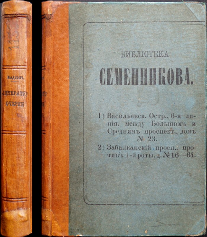 С. Я. Надсон. Литературные очерки (посмертное издание)