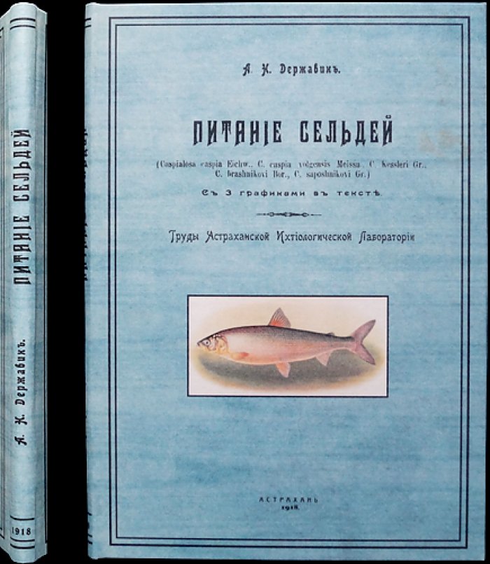 Питание сельдей (труды Астраханской ихтиологической лаборатории). Том IV, выпуск 3