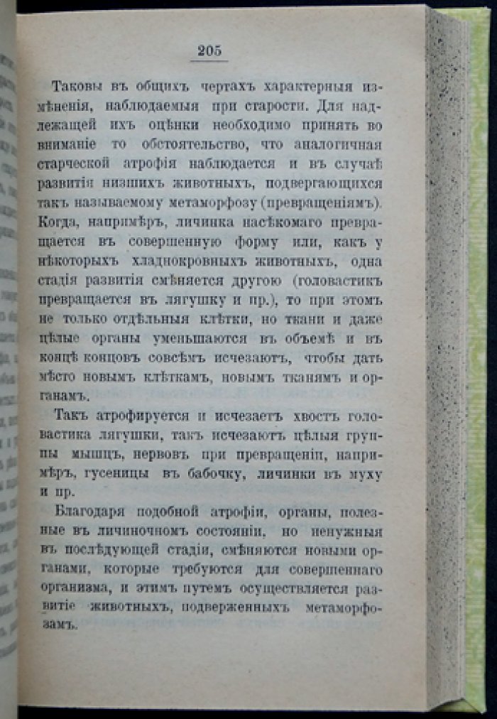 Эльпе. Из природы человека: очерки о жизни, расах, старости и смерти (переиздание с развернутым содержанием)