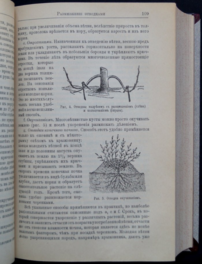Русский огород, питомник и плодовый сад (практическое руководство с иллюстрациями)