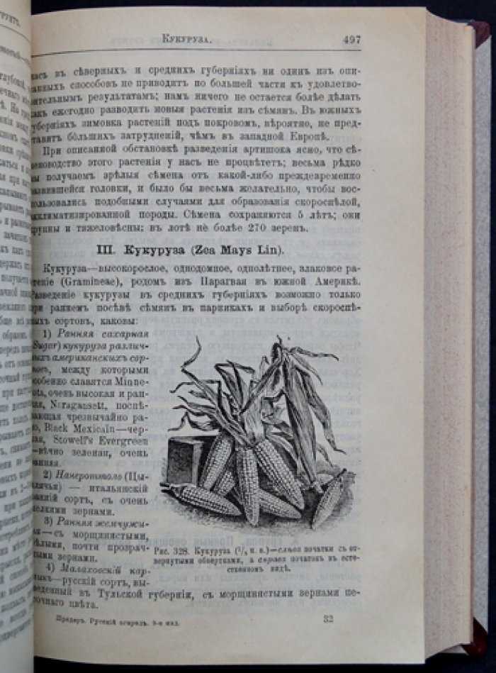 Русский огород, питомник и плодовый сад (практическое руководство с иллюстрациями)