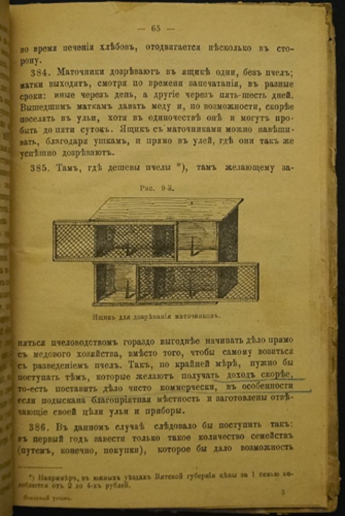 Пчелиный устав и уход за пчёлами в улучшенных колодках: руководство для пчеловодов
