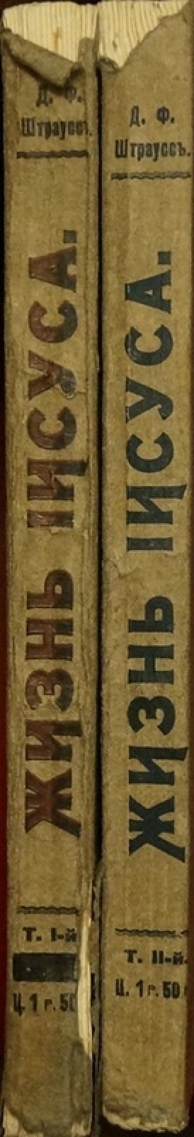 Жизнь Иисуса: критическое исследование (в 2 томах)