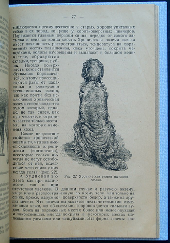 Болезни собак. Научное руководство по ветеринарной практике