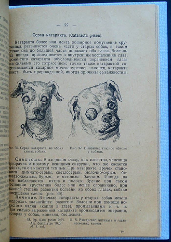 Болезни собак. Научное руководство по ветеринарной практике