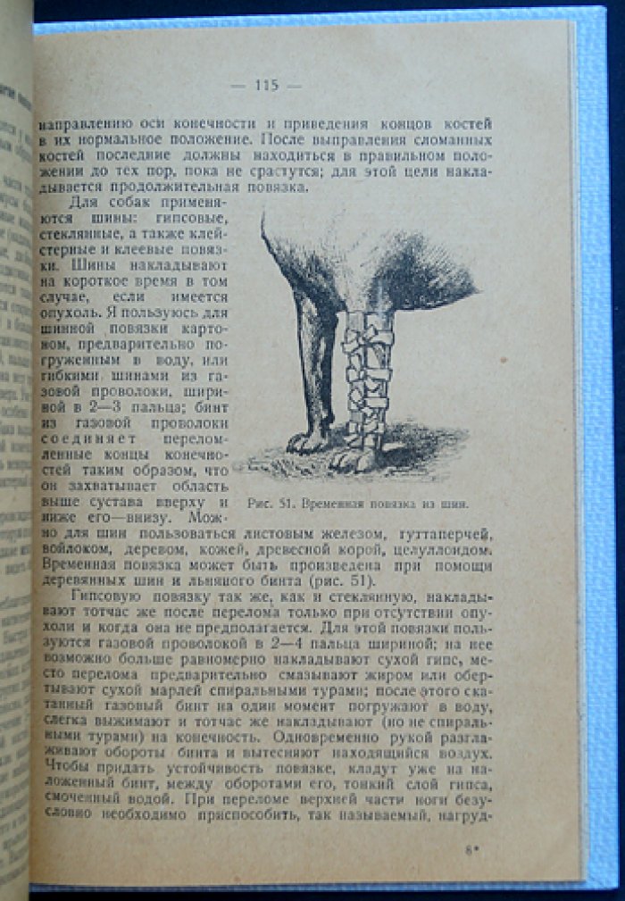 Болезни собак. Научное руководство по ветеринарной практике