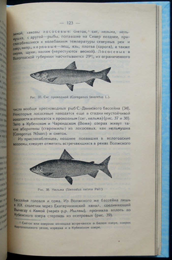 Вологодский край. Часть 1: Естественные производительные силы (геоботаническое и краеведческое исследование)