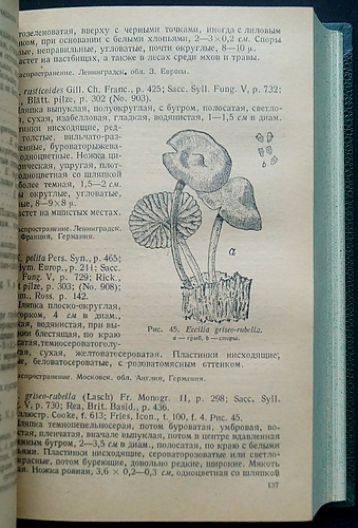 Определитель шляпочных грибов (Agaricales) / проф. Л.А. Лебедева