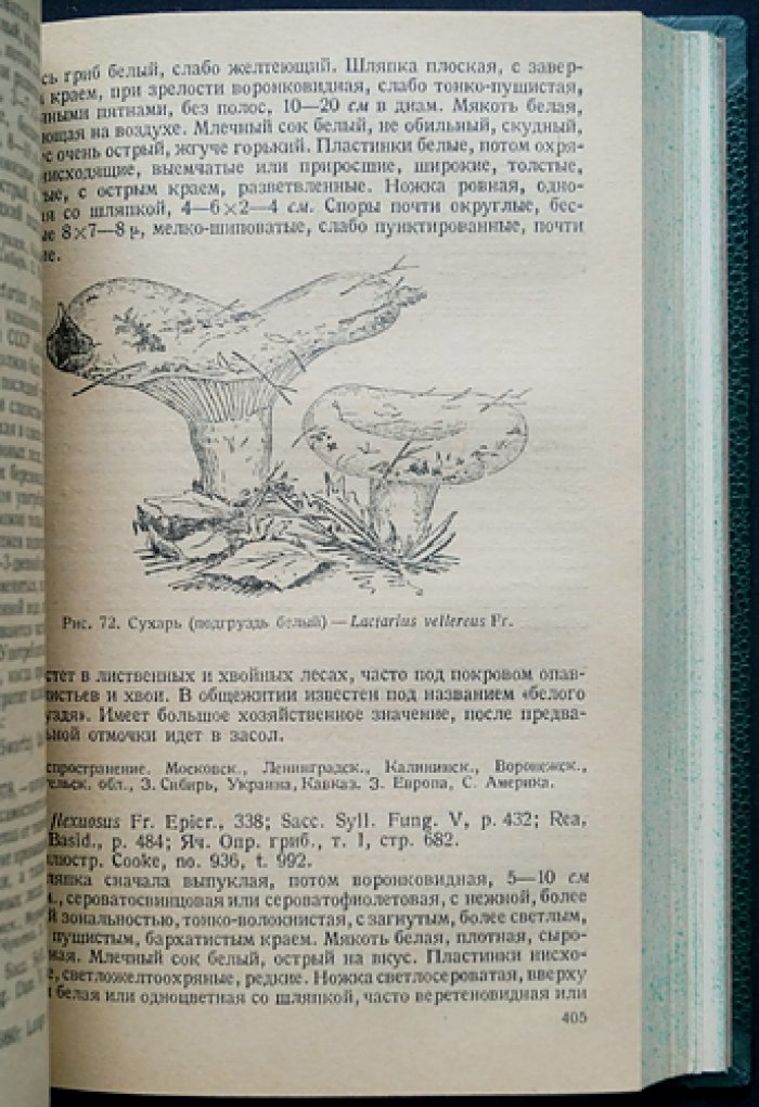 Определитель шляпочных грибов (Agaricales) / проф. Л.А. Лебедева