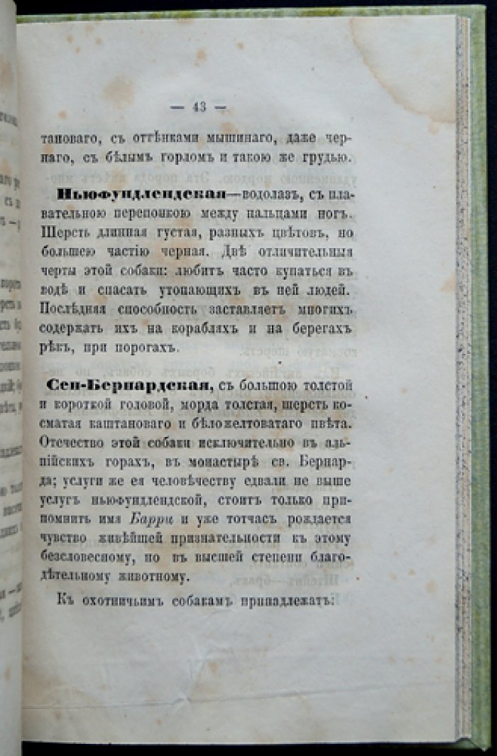 Гигиена собак (комнатных и охотничьих). Правила сохранения здоровья и подавление главных болезней