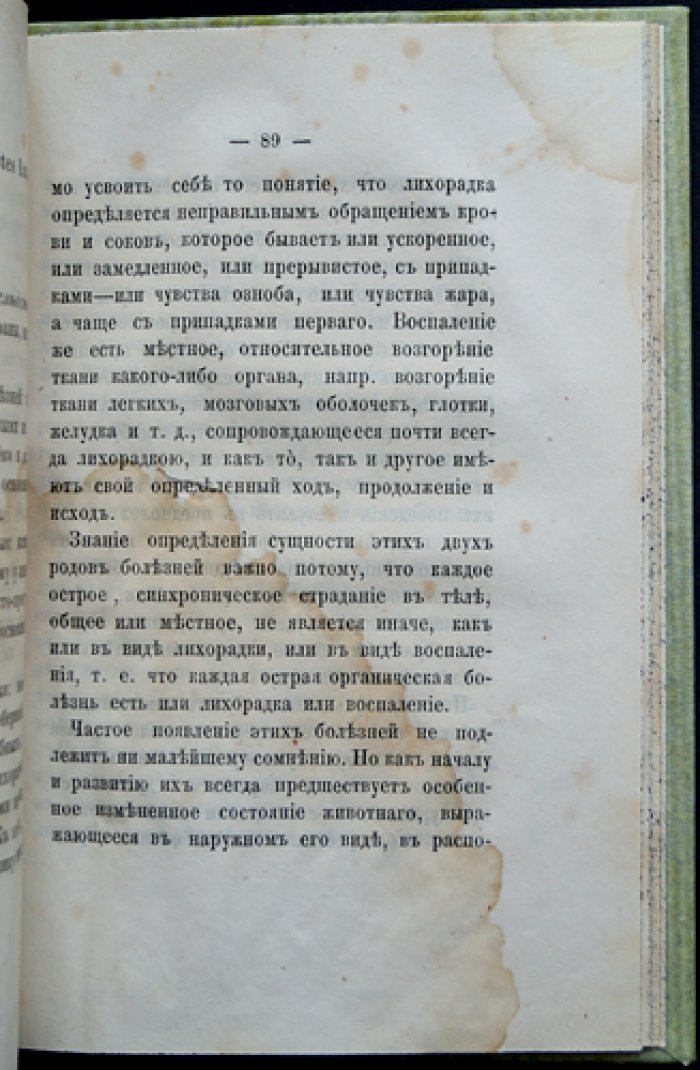 Гигиена собак (комнатных и охотничьих). Правила сохранения здоровья и подавление главных болезней
