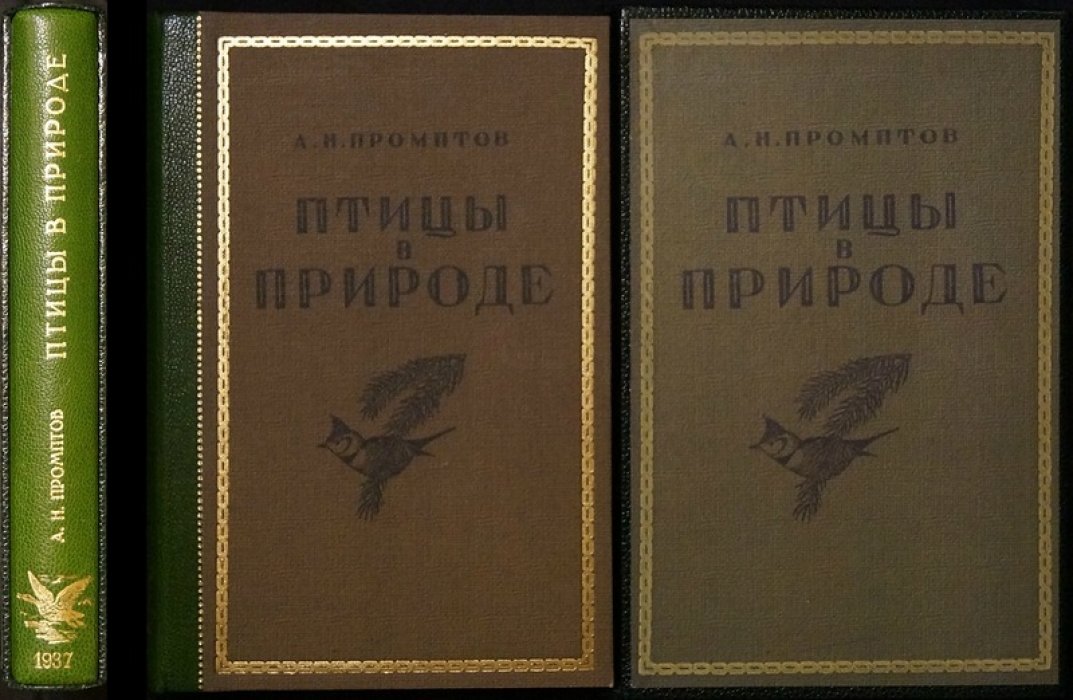 Птицы в природе: руководство-определитель для начинающих орнитологов (с цветными таблицами)