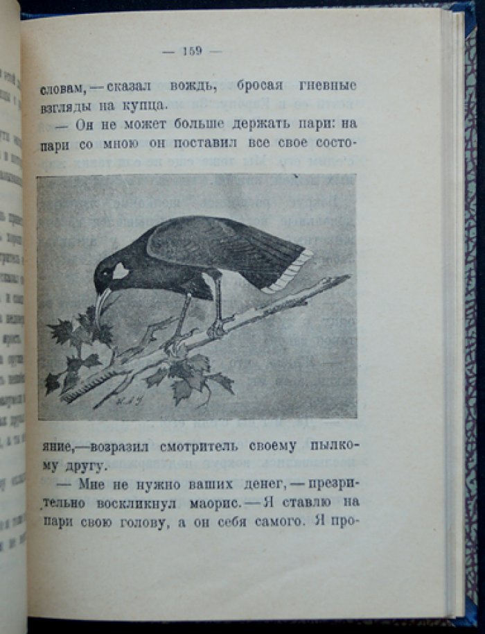 Чеглок (Усов) А. Островные птицы: рассказы о природе (1925)