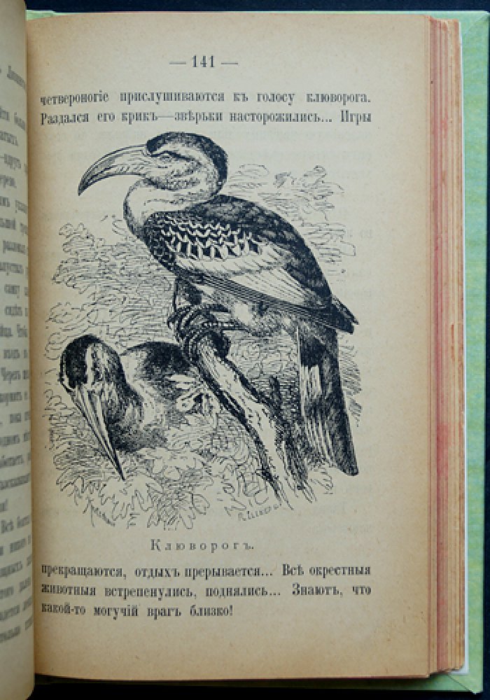Жилища и нравы птиц (М. С. Слепцова). Иллюстрированное издание 1898 года