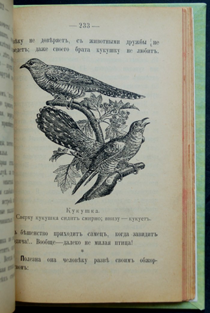 Жилища и нравы птиц (М. С. Слепцова). Иллюстрированное издание 1898 года