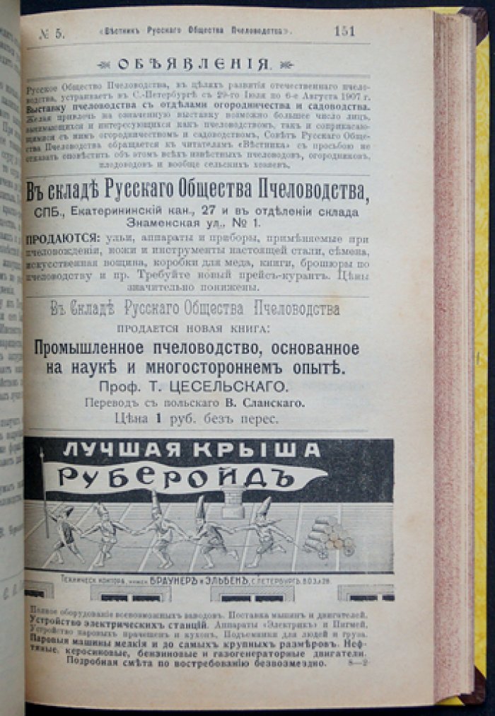 Вестник Русского общества пчеловодства. Комплект номеров за 1906–1907 гг. (под ред. С.П. Глазенапа)