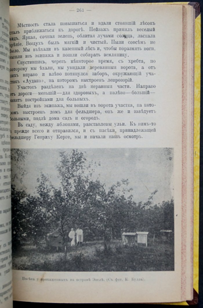 Вестник Русского общества пчеловодства. Комплект номеров за 1906–1907 гг. (под ред. С.П. Глазенапа)