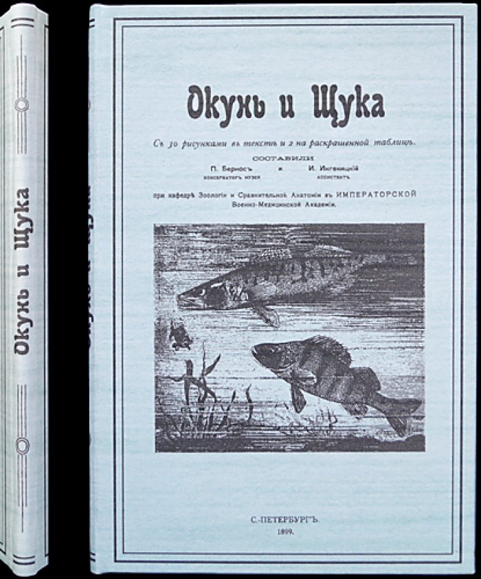 Окунь и щука: Практическая зоотомия (выпуск III) — анатомия рыб с рисунками и цветной таблицей