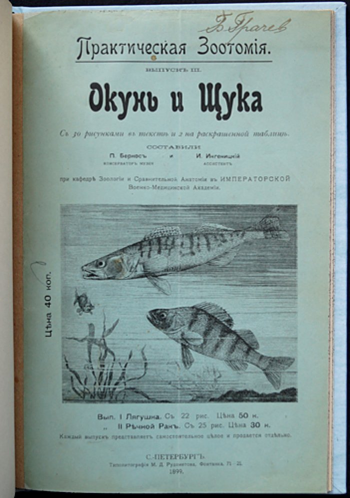 Окунь и щука: Практическая зоотомия (выпуск III) — анатомия рыб с рисунками и цветной таблицей