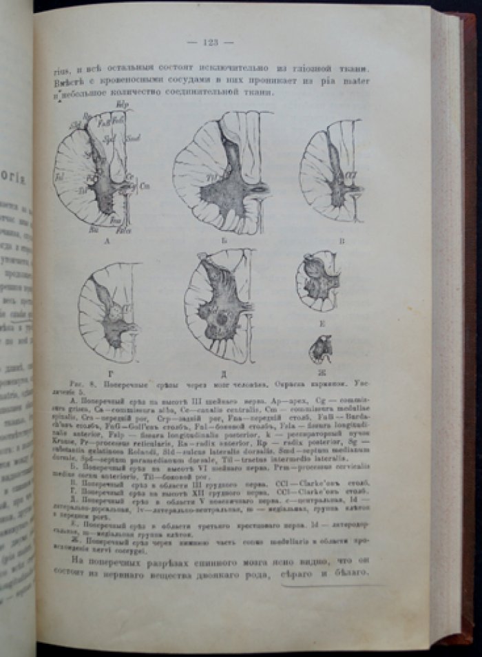 Проф. А. Я. Кожевников. Курс нервных болезней (лекции студентов), 5-е исправленное издание с дополнениями В. К. Рота