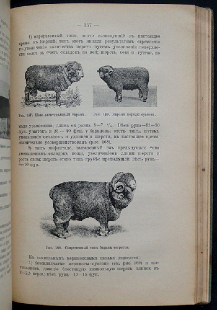 Руководство по товароведению с основами технологии. Часть 1 (дерево, топливо, металлы, стекло, керамика, текстиль, бумага)