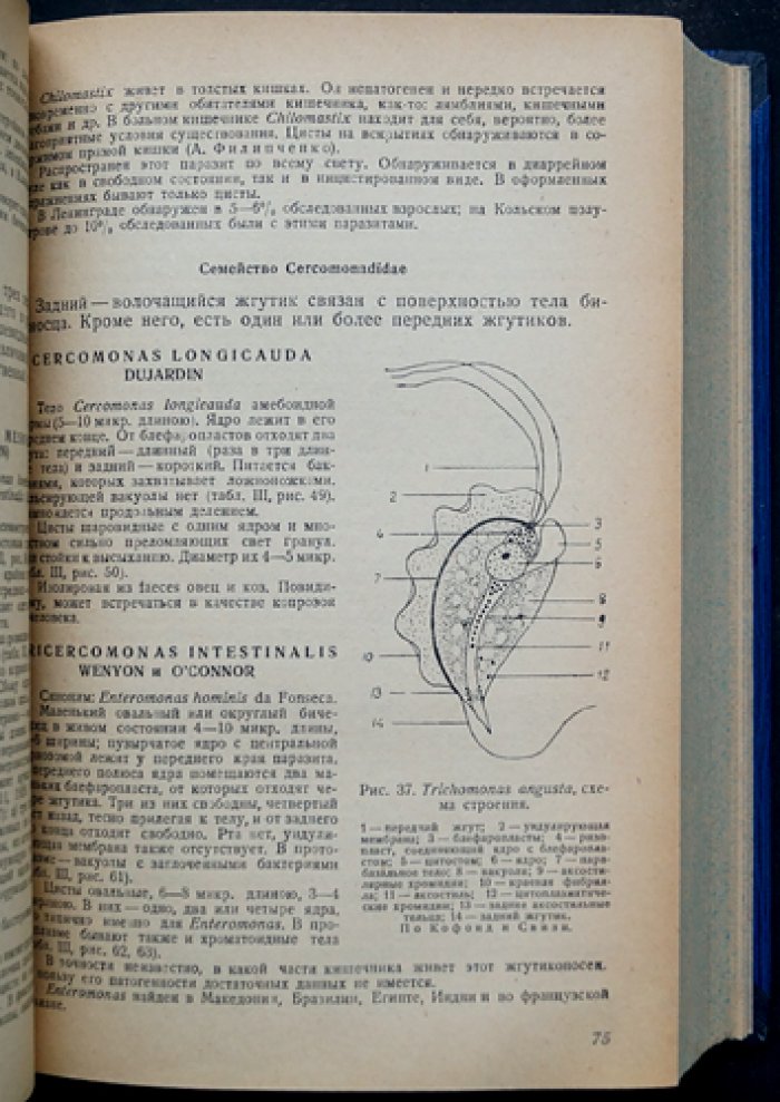 Курс паразитологии человека. Учение о переносчиках инфекций и инвазий (2-е переработанное и расширенное издание)