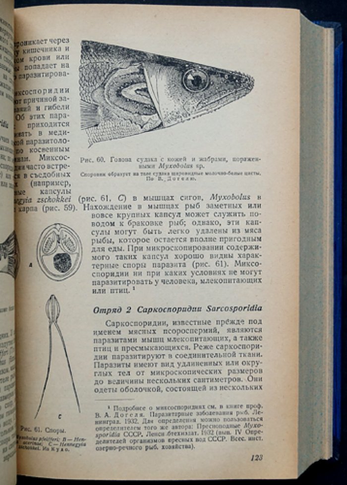 Курс паразитологии человека. Учение о переносчиках инфекций и инвазий (2-е переработанное и расширенное издание)