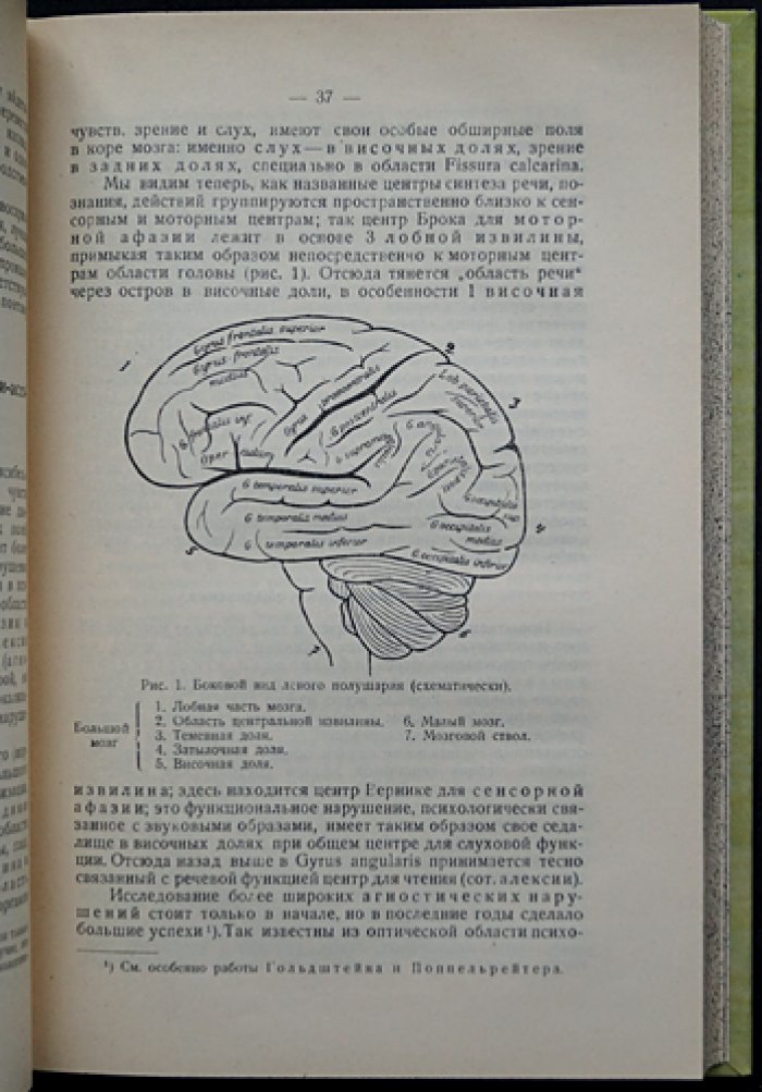 Медицинская психология (Э. Кречмер). Перевод с немецкого, с предисловием В. Е. Смирнова