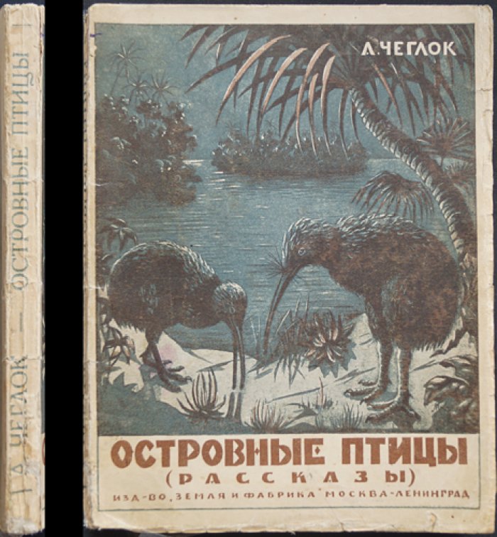 Островные птицы: рассказы (детская книга о природе)