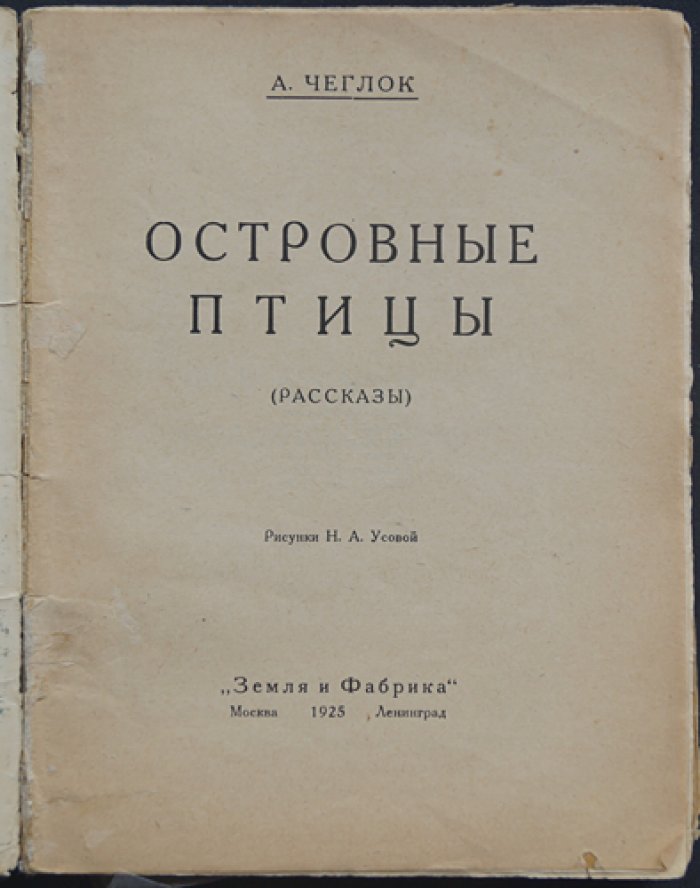 Островные птицы: рассказы (детская книга о природе)