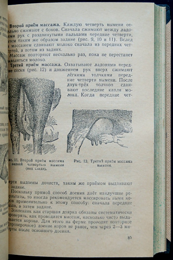 Проф. Давидов Р.Б. Молоко и молочное дело: состав, технология переработки и контроль качества (с иллюстрациями)