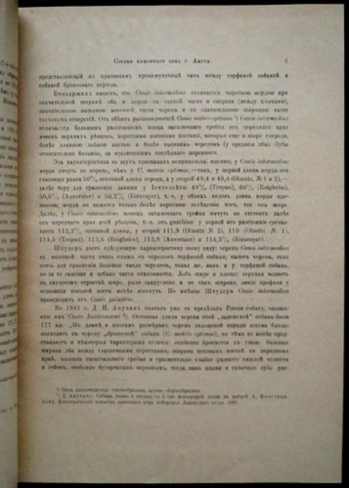 Собаки каменного века на р. Амур: исследование доисторических пород (Труды геологической комиссии, Новая серия, вып. 160)