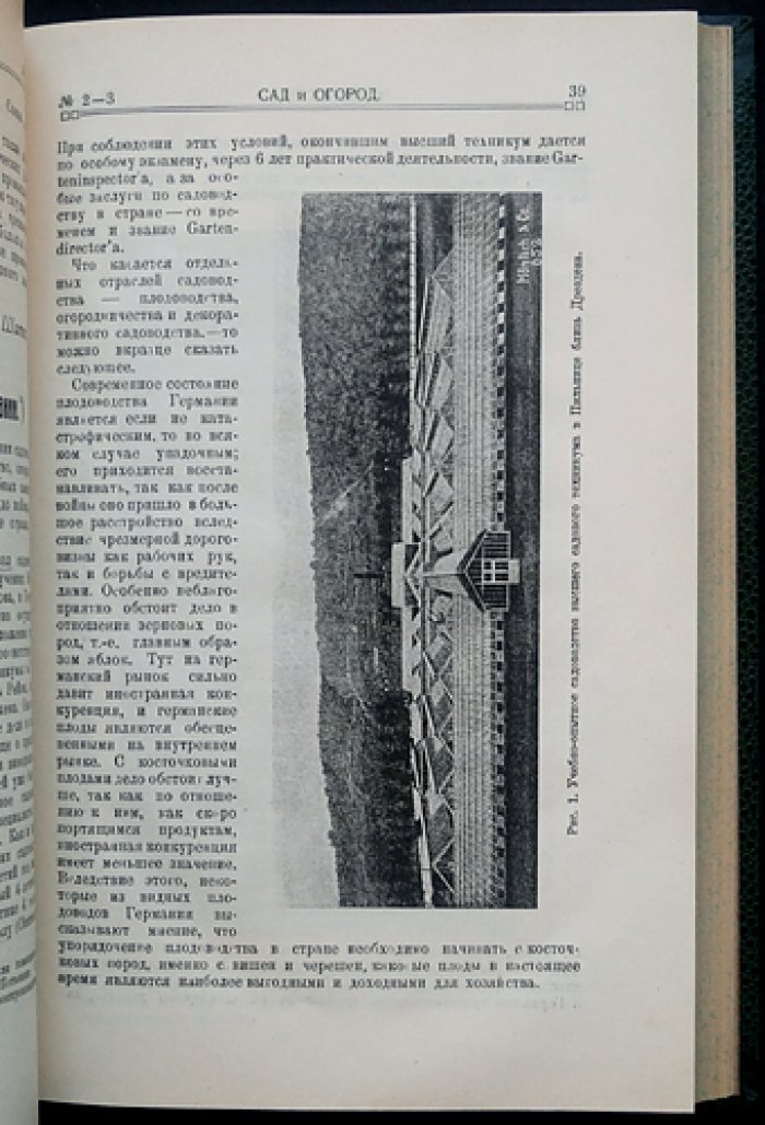 «Сад и Огород». Полный комплект № 1–10 (1926)