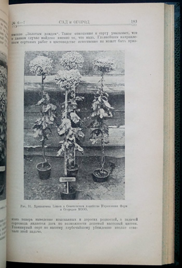«Сад и Огород». Полный комплект № 1–10 (1926)
