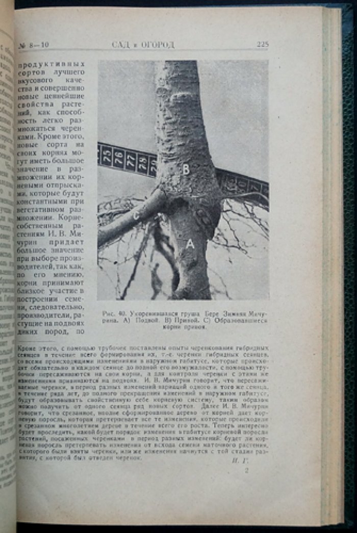 «Сад и Огород». Полный комплект № 1–10 (1926)