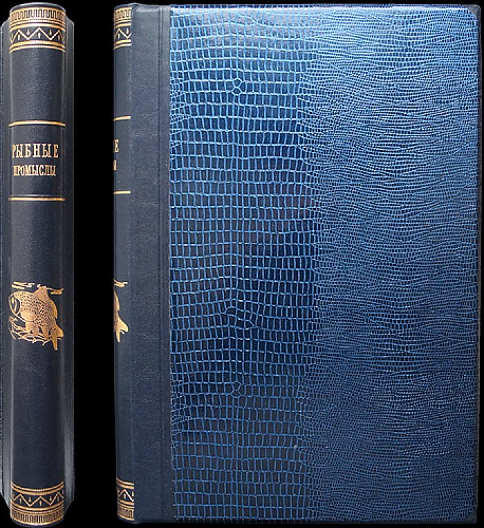 Рыбные промыслы Западной Европы. Выпуски I–IV (комплект) — исследования о промыслах у Лофотенских островов, норвежских, траловом и плавном промысле в Северном море